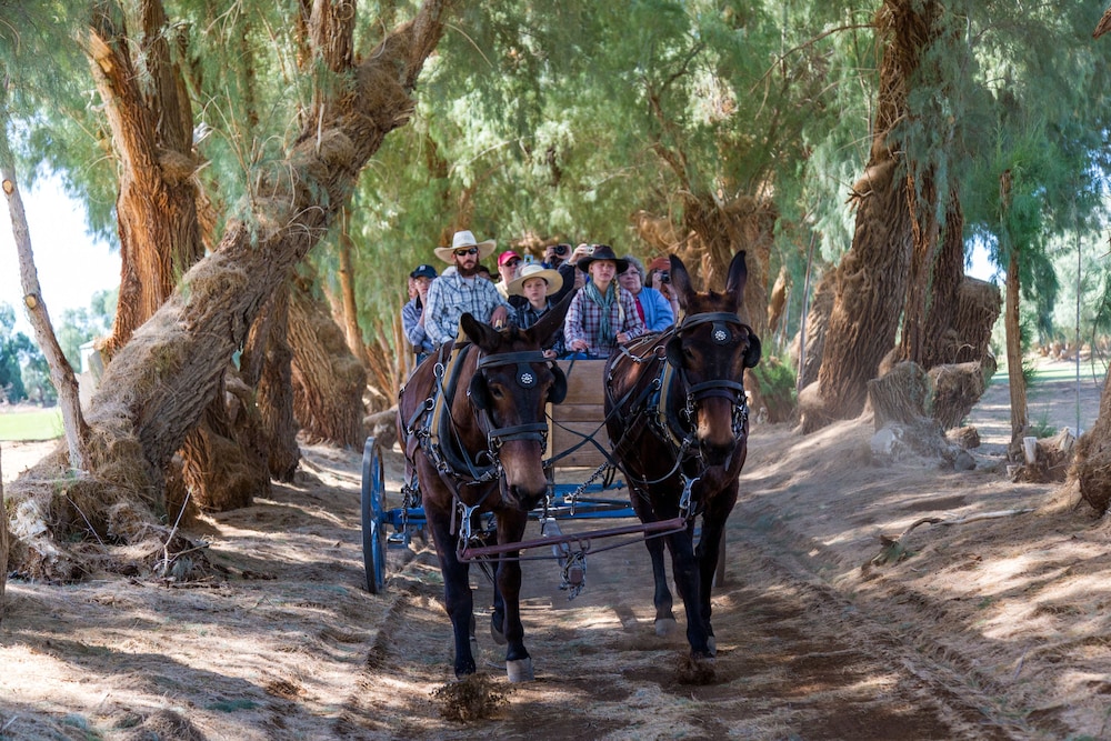 Horseback riding