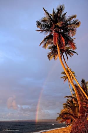 thumbnail: Beach