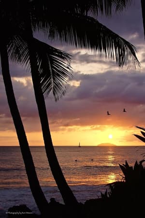 thumbnail: Beach