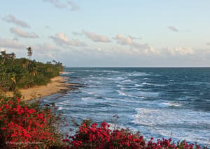 thumbnail: Beach