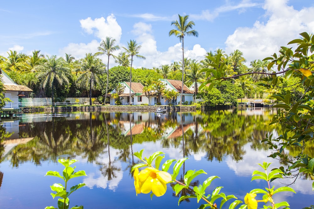 Lake view