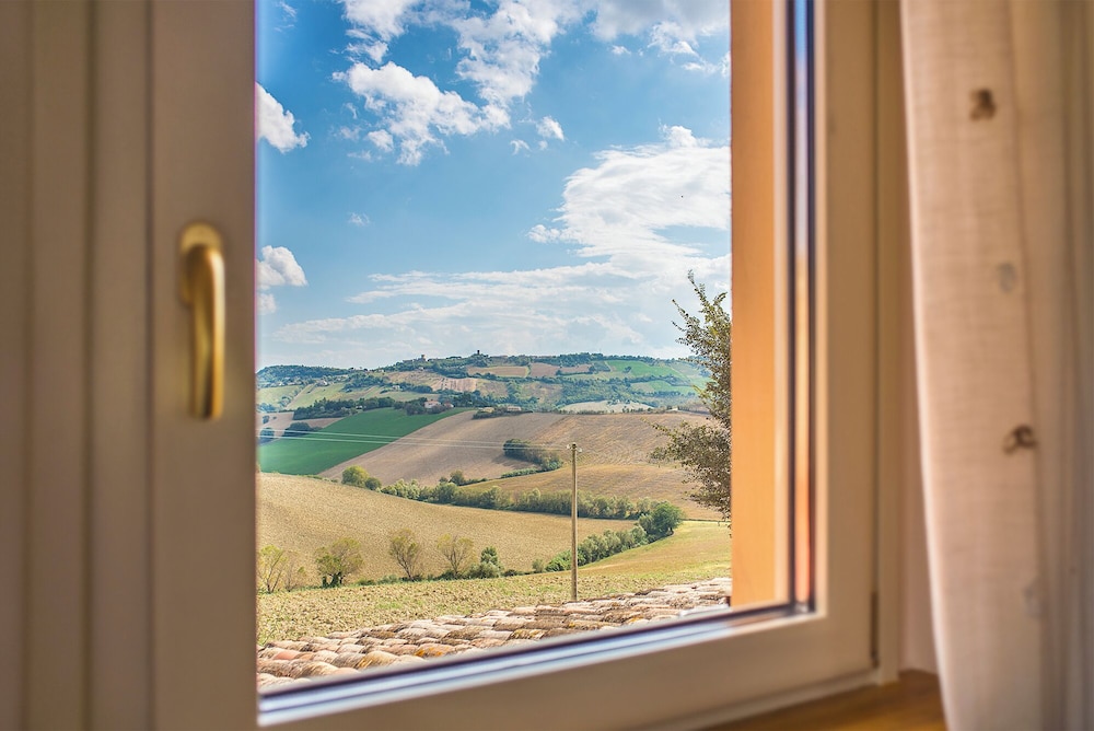 Hill view