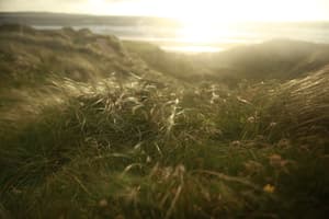 thumbnail: Exterior