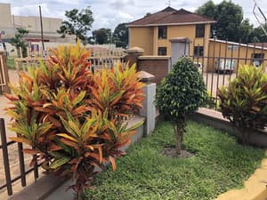 thumbnail: Garden