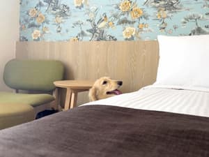 thumbnail: Room