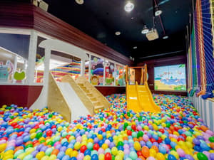 thumbnail: Children's play area - indoor