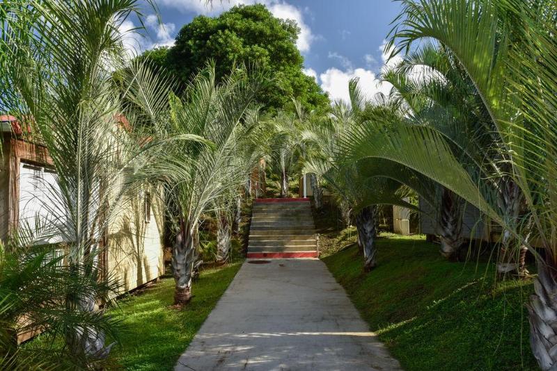 General view