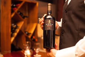 thumbnail: Winery