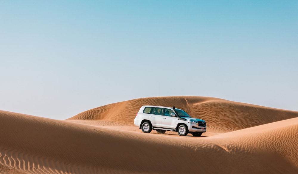 Safari