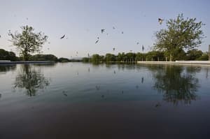 thumbnail: Outdoor pool