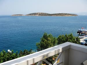 thumbnail: General view