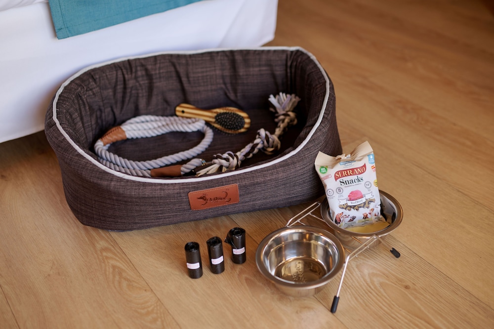 Pet-friendly amenities