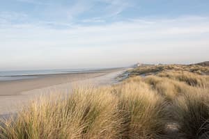 thumbnail: Beach