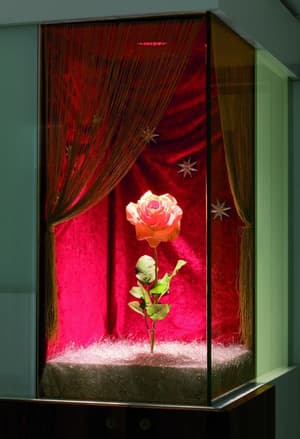 thumbnail: Interior