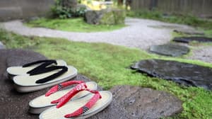 thumbnail: Japanese garden