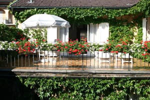 thumbnail: General view