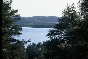 thumbnail: General view