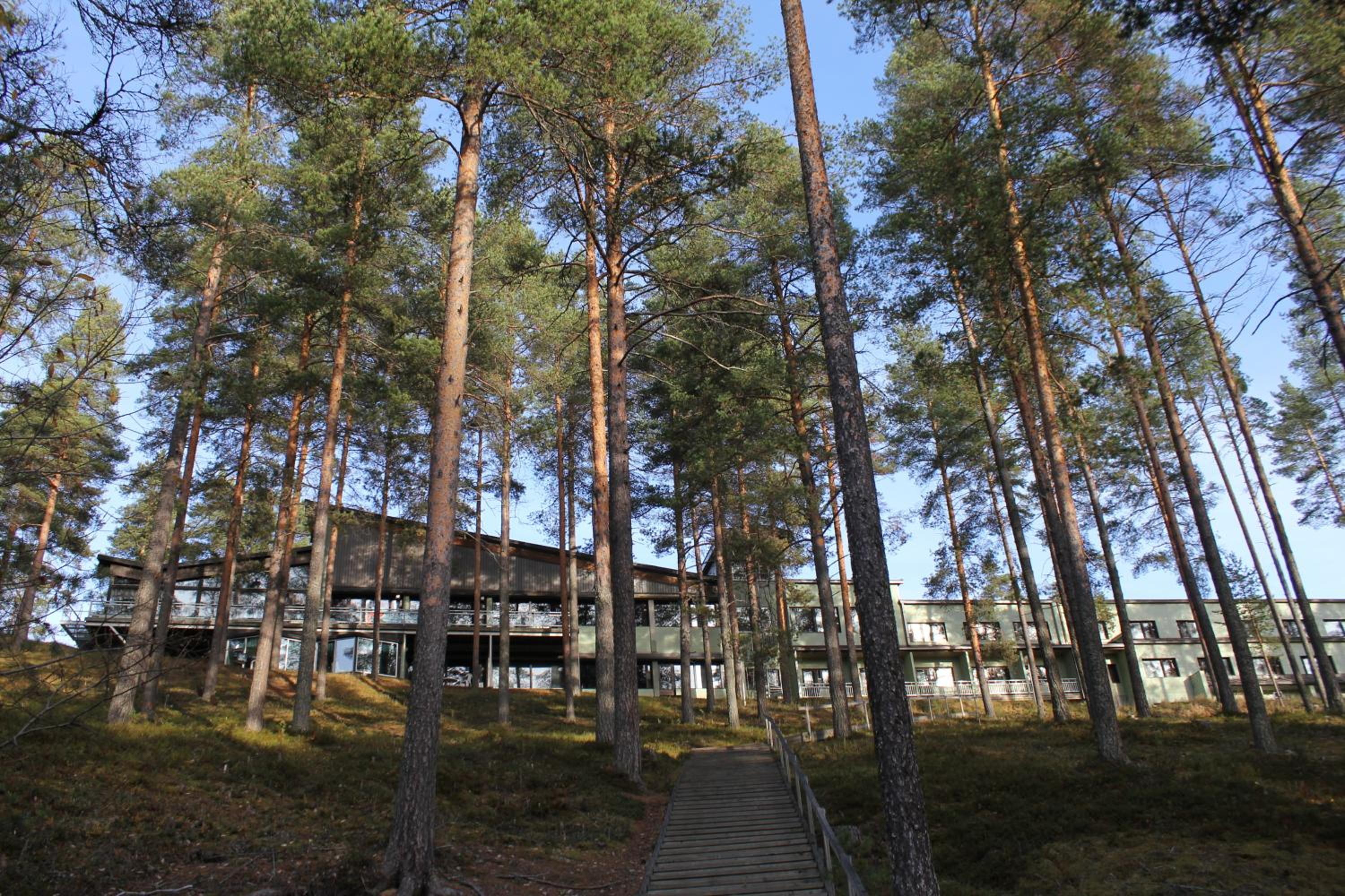 Play area
