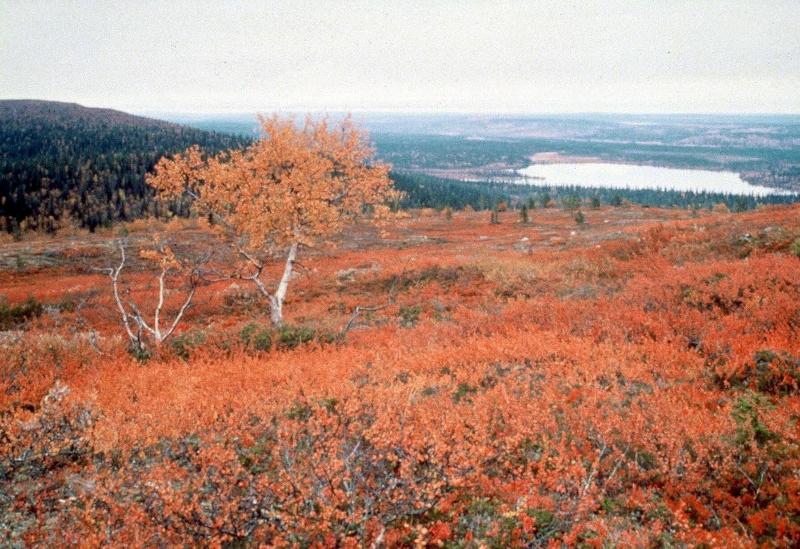 General view
