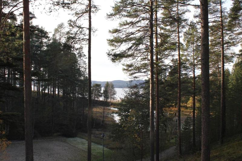 General view