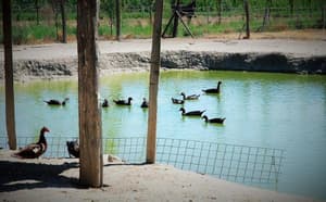 thumbnail: General view