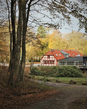 thumbnail: Tasting room