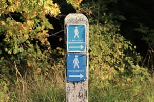 thumbnail: Hiking