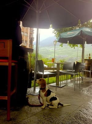 thumbnail: Porch