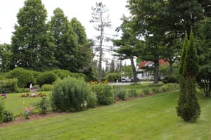 thumbnail: General view