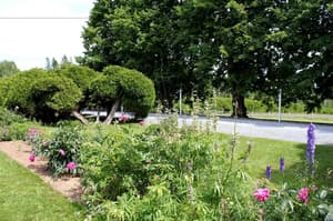 thumbnail: General view