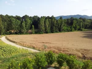 thumbnail: Property grounds