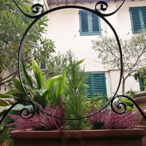 thumbnail: Garden