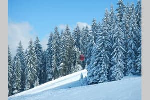 thumbnail: Ski hill