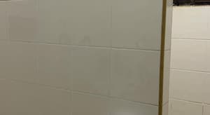thumbnail: 772556470.jpg