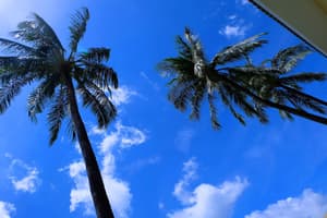 thumbnail: View from property