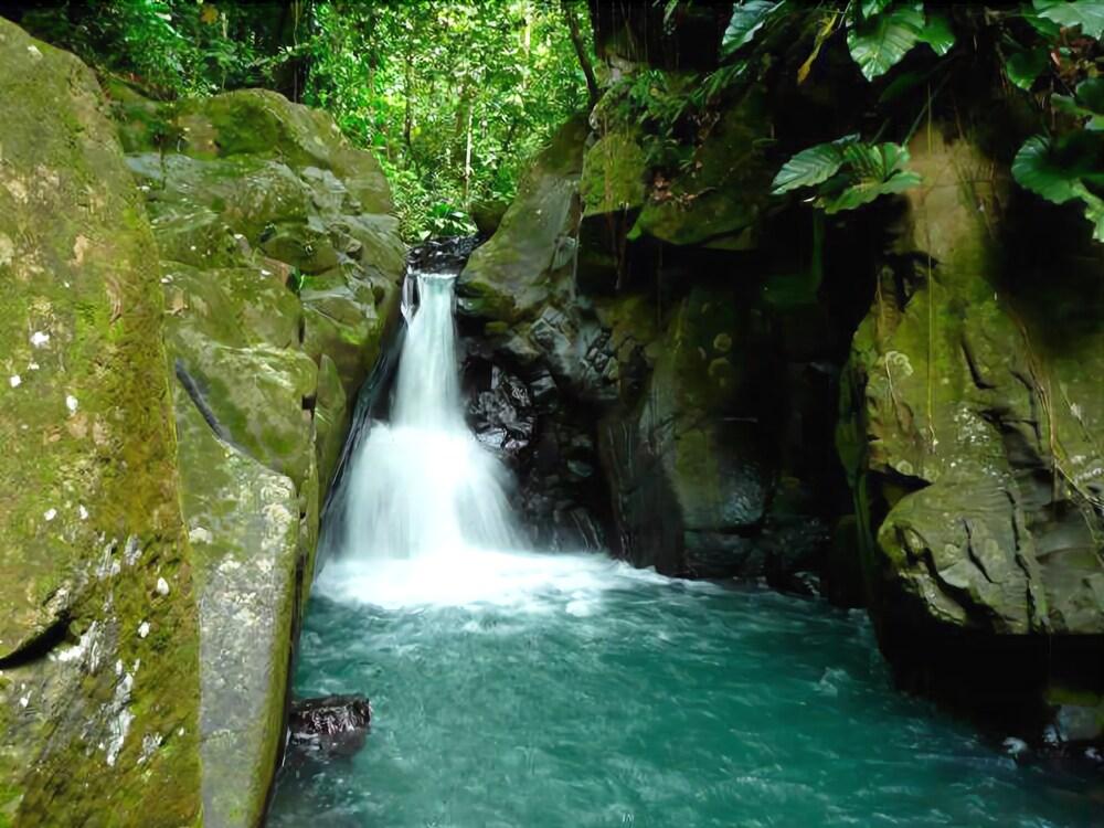 Grande Plaine Paradis 5
