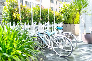 thumbnail: Bicycling