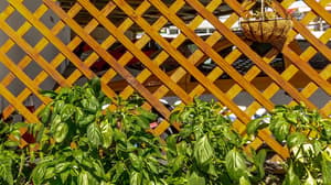 thumbnail: Garden