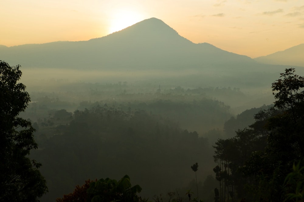 Mountain view