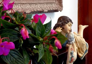 thumbnail: Interior
