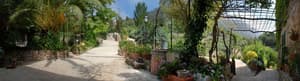 thumbnail: Garden