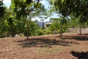 thumbnail: Garden
