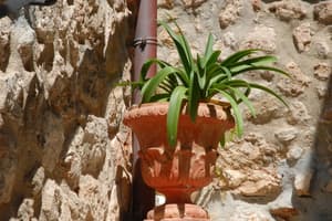 thumbnail: Exterior detail