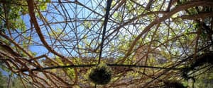 thumbnail: Exterior detail