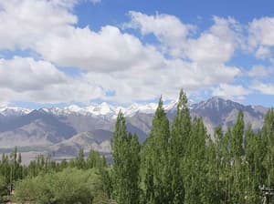 thumbnail: Mountain view