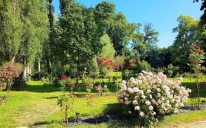 thumbnail: Garden
