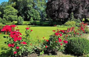 thumbnail: Garden