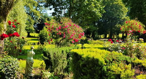 thumbnail: Garden
