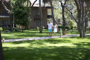 thumbnail: Property grounds