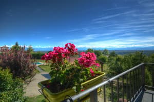 thumbnail: View from property